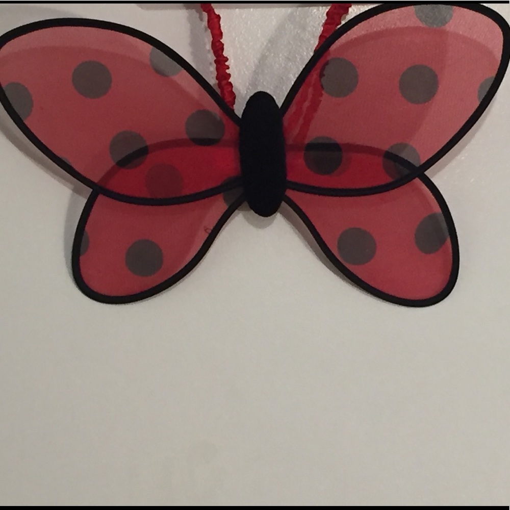 Ladybug 🐞 Costume 🎃